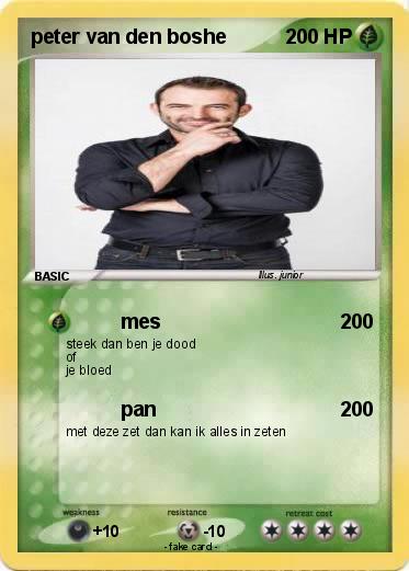 Pokemon peter van den boshe
