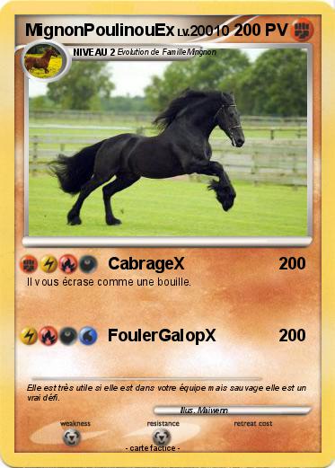 Pokemon MignonPoulinouEx