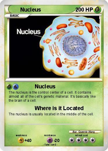 Pokemon Nucleus