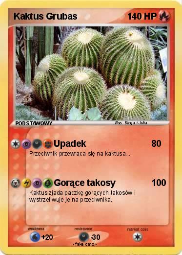 Pokemon Kaktus Grubas