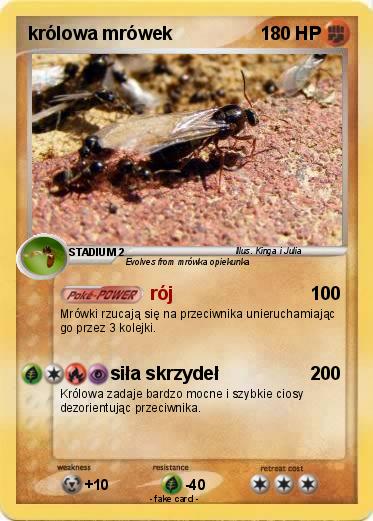 Pokemon królowa mrówek