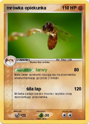 Pokemon mrówka opiekunka