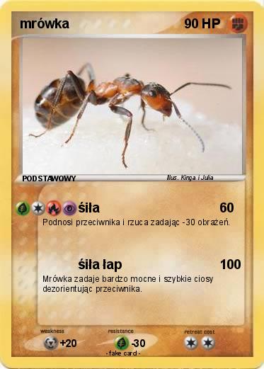 Pokemon mrówka