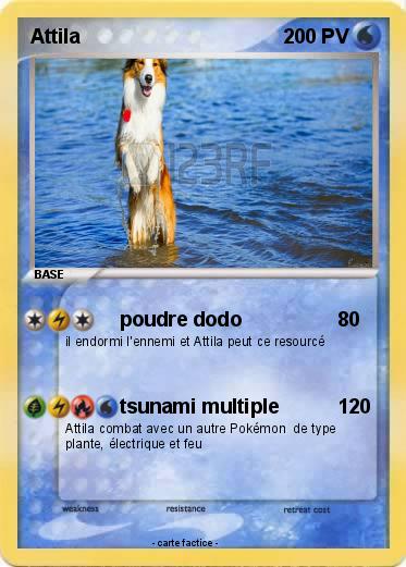 Pokemon Attila