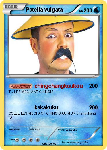 Pokemon Patella vulgata