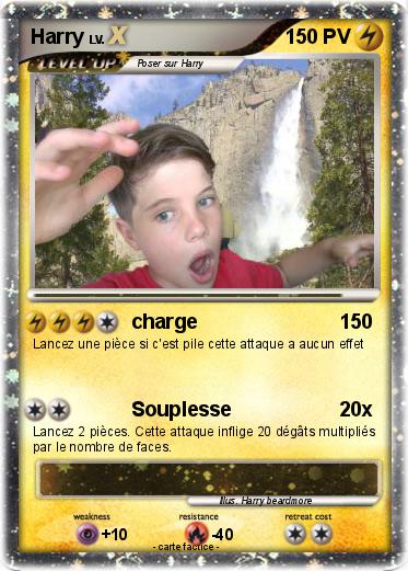 Pokemon Harry