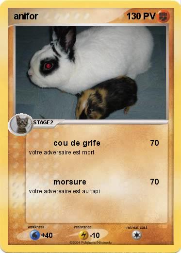 Pokemon anifor