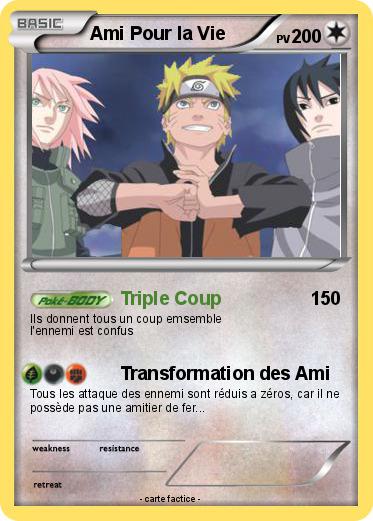 Pokemon Ami Pour la Vie