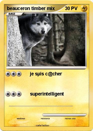 Pokemon beauceron timber mix