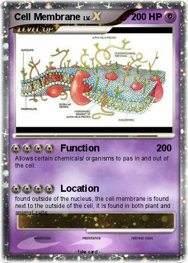 Pokemon Cell Membrane
