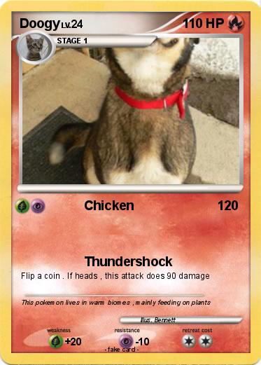 Pokemon Doogy