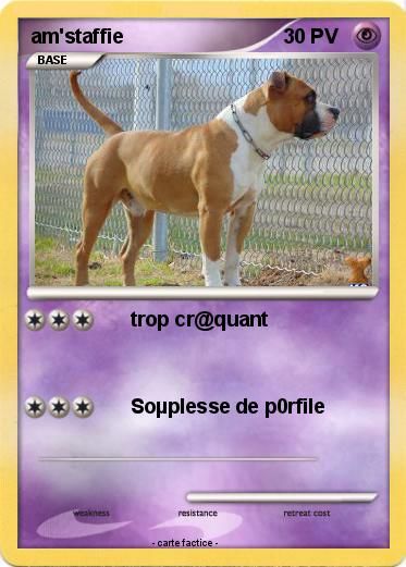 Pokemon am'staffie