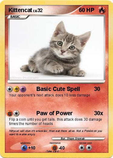 Pokemon Kittencat