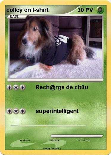 Pokemon colley en t-shirt