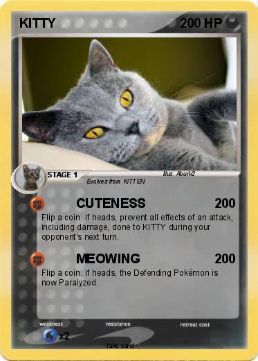 Pokemon KITTY