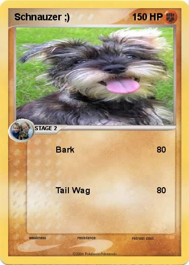 Pokemon Schnauzer ;)