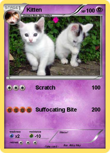 Pokemon Kitten