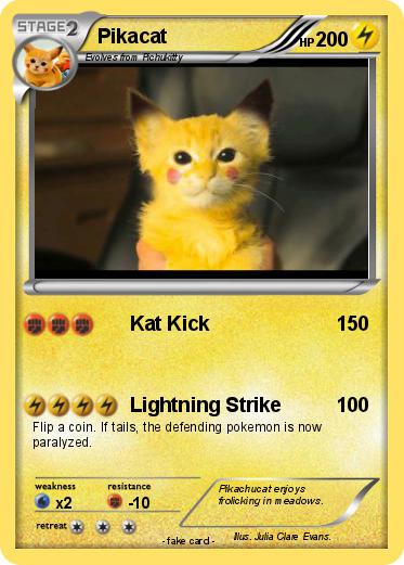 Pokemon Pikacat