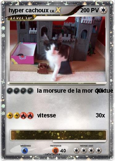 Pokemon hyper cachoux