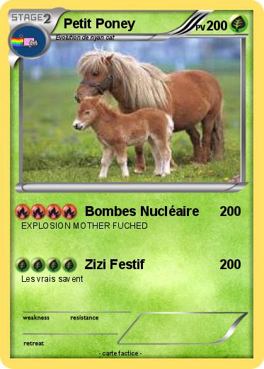 Pokemon Petit Poney
