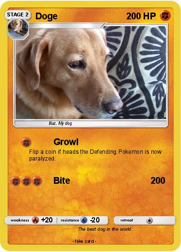 Pokemon Doge