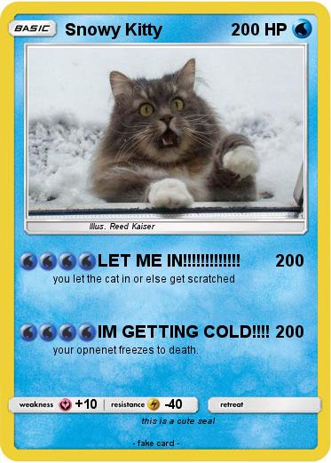 Pokemon Snowy Kitty