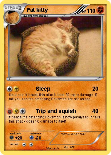 Pokemon Fat kitty