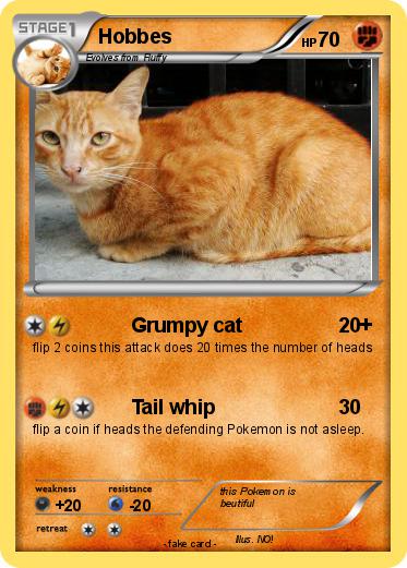 Pokemon Hobbes