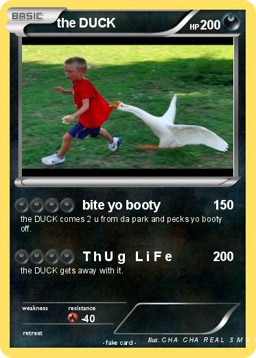 Pokemon the DUCK