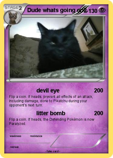 Pokemon Dude whats going on?