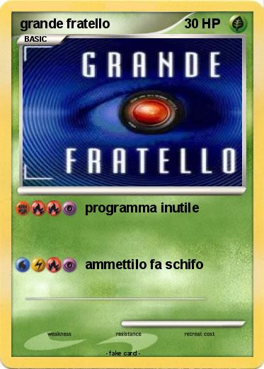 Pokemon grande fratello