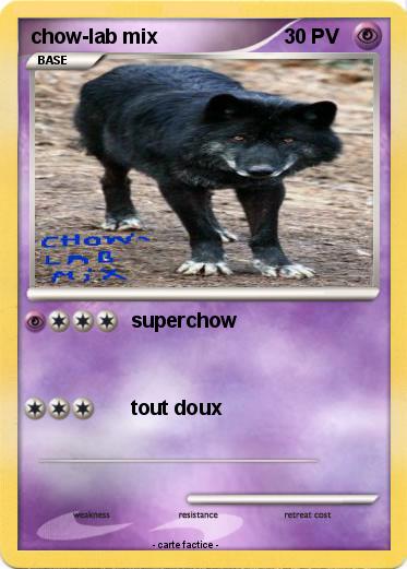 Pokemon chow-lab mix