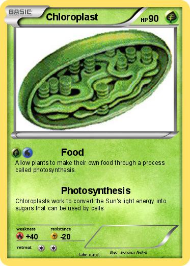Pokemon Chloroplast