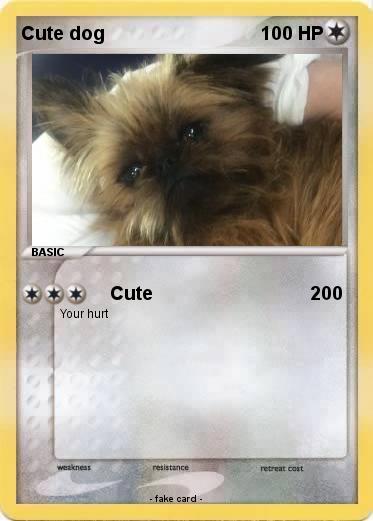 Pokemon Cute dog