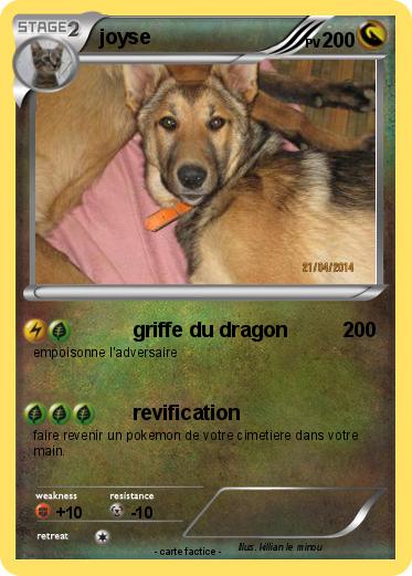 Pokemon joyse