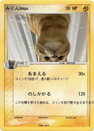 Pokemon みりんVmax