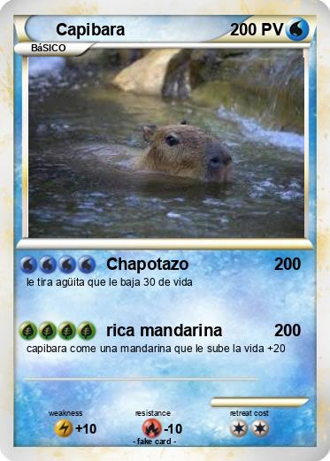 Pokemon Capibara