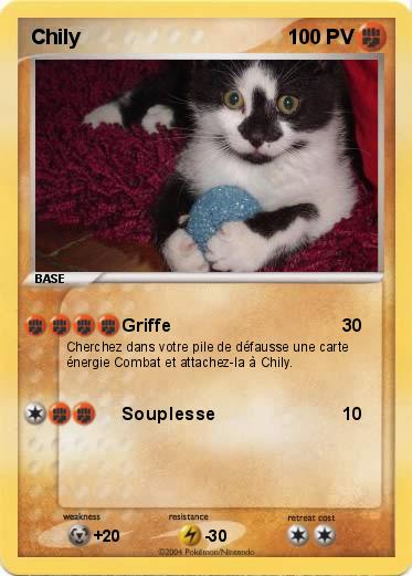 Pokemon Chily
