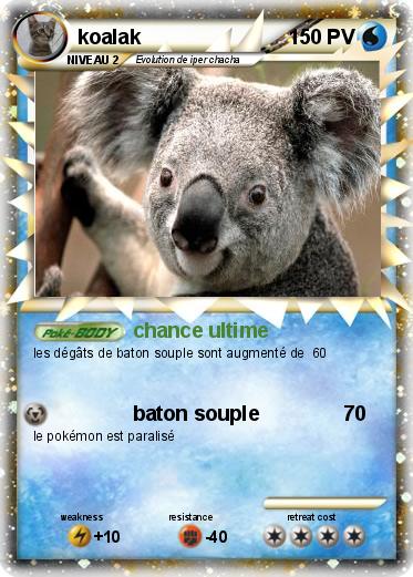 Pokemon koalak