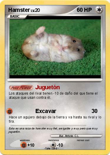 Pokemon Hamster