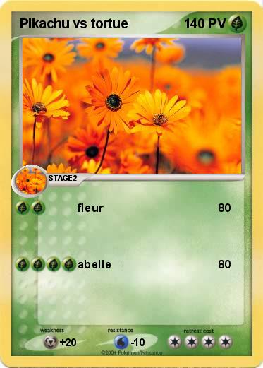 Pokemon Pikachu vs tortue