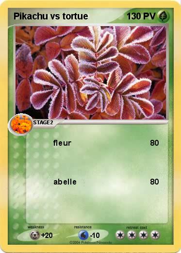 Pokemon Pikachu vs tortue