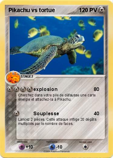 Pokemon Pikachu vs tortue