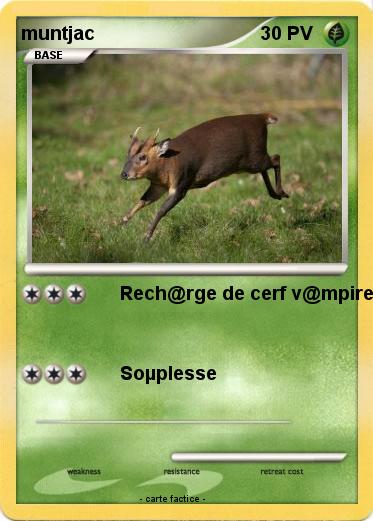 Pokemon muntjac