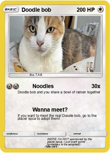 Pokemon Doodle bob
