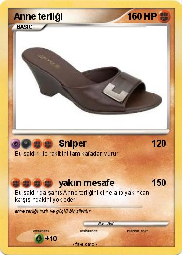 Pokemon Anne terliği