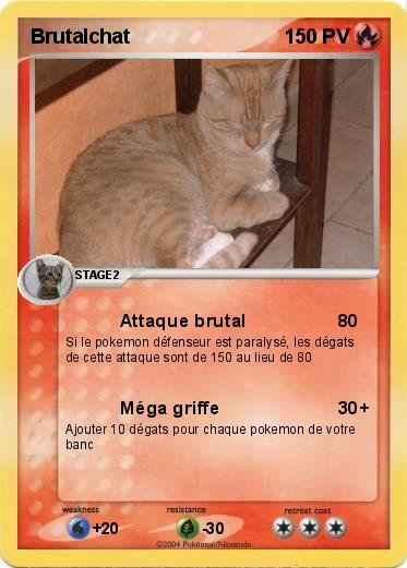 Pokemon Brutalchat             