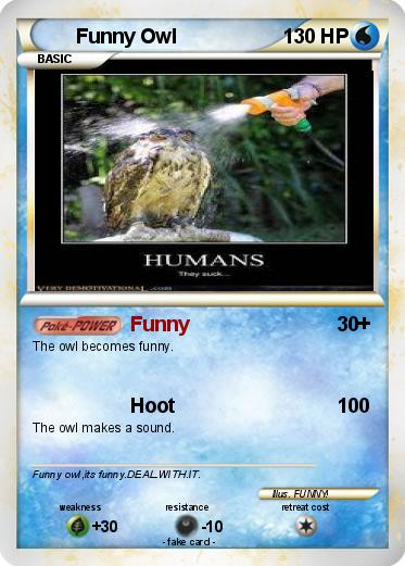 Pokemon Funny Owl