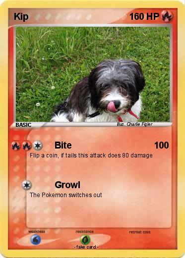 Pokemon Kip