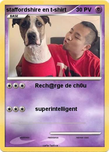 Pokemon staffordshire en t-shirt